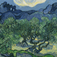 Olive Trees in a Mountainous Landscape. Wikimedia Commons